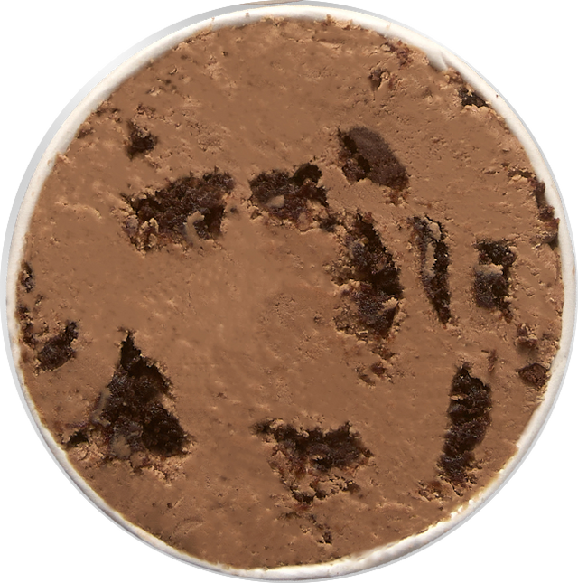 Scoop Squad: All 4 Flavors – High-Protein, Zero Sugar & GLP-1 Friendly