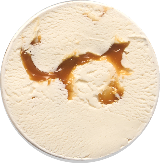 Scoop Squad: All 4 Flavors – High-Protein, Zero Sugar & GLP-1 Friendly