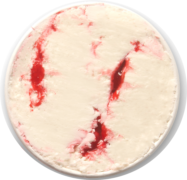 Scoop Squad: All 4 Flavors – High-Protein, Zero Sugar & GLP-1 Friendly
